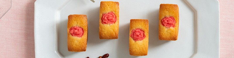 �a�َq���̃m�E�n�E�𐶂��������s�̗m�َq�X�u�ی��v���T�C�g